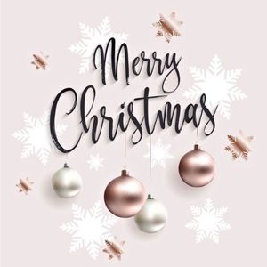 Merry Christmas everyone. Thank you for shopping my closet.